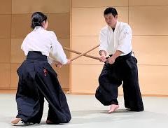 Into the world of Aikido martial arts